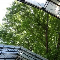 なんと、天井が開きます。