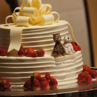 家の猫たちをケーキにデコレーションしていただけました。