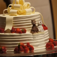 家の猫たちをケーキにデコレーションしていただけました。