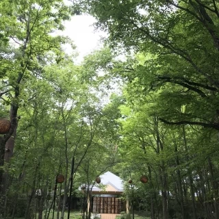 チャペルを出て緑道の中でライスシャワーを行いました。