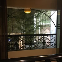 館内から見た竹林