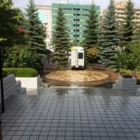チャペルから出て行く時に見える景色。フラワーシャワーをやる