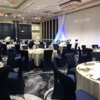 披露宴会場2。絨毯、壁が濃青で、ドレスが映えます。