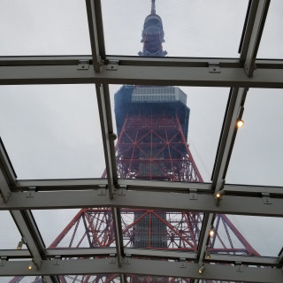 見上げると東京タワー