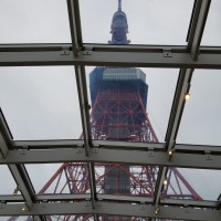 見上げると東京タワー
