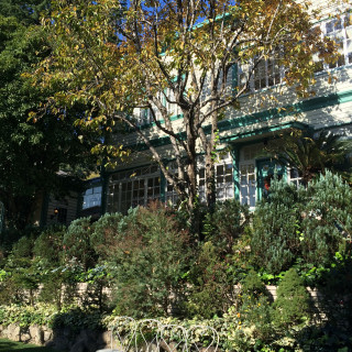 白と緑の建物がオシャレ
ガーデンは緑いっぱいです
