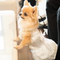 愛犬もロビーを自由にできました！