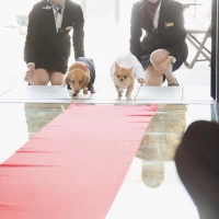 リングドックで盛り上がりました！