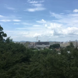 窓からの眺めは絶景です。夜景も。