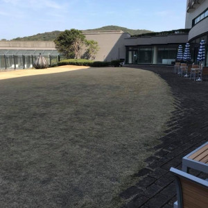 芝生がこれから青くなる|508313さんのタラサ志摩ホテル&リゾートの写真(656643)