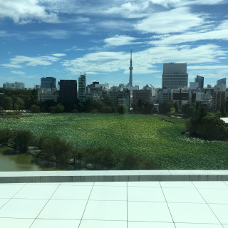 スカイツリーと上野公園の景色を楽しめます