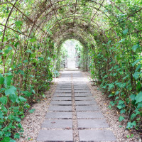 ガーデン会場までの緑のトンネル