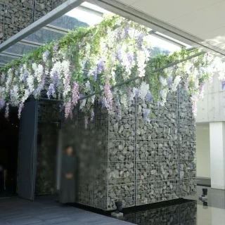 チャペルの入り口に藤の花♡