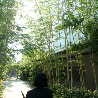 桜苑への入り口。竹林がステキ☆