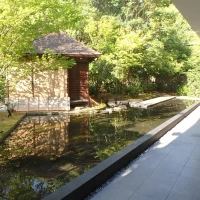 1階の会場の外側に池があります。ここからの入場なども可。