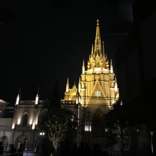 夜間はライトアップされます