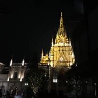 夜間はライトアップされます