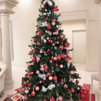 式場入口に大きなクリスマスツリー