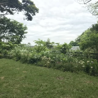 ガーデンからの眺め。花に囲まれてかわいい