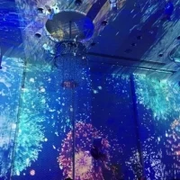 プロジェクションマッピング4