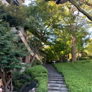 新郎新婦が登場する階段