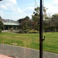 ホテルの中から見える日本庭園です。