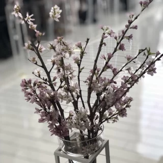 季節に合わせて桜の木でお出迎えしてくれた、