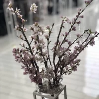 季節に合わせて桜の木でお出迎えしてくれた、