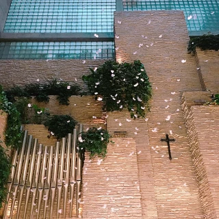 室外機が、まる見え…