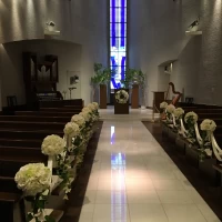 ベールダウンなどをする場所から