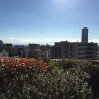 ガーデンからの景色