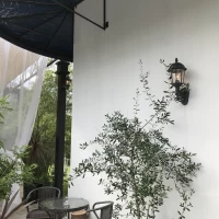 オリーブとランプ、白壁が素敵