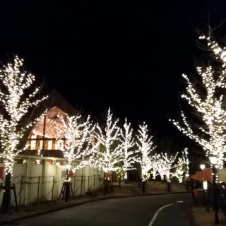 夜の式場の風景。イルミネーションがきれいです。