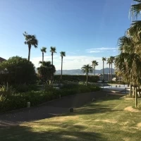 晴天時は、青空とヤシの木がとても綺麗に写り、海外のようです。