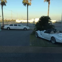 夕方とはまた違った景色で綺麗です。