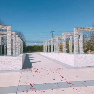 フラワーシャワー