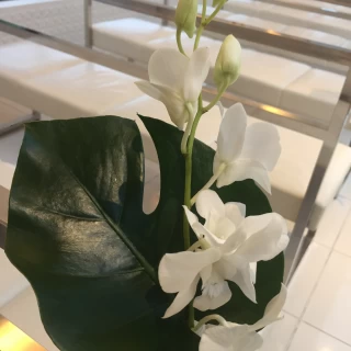 リゾート風のお花