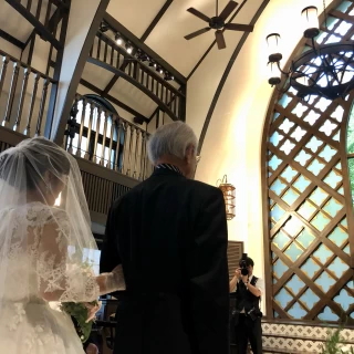 緑見え天井も高いため開放感があります