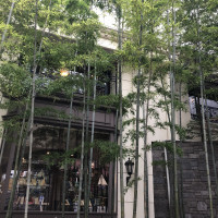 入り口の竹林
