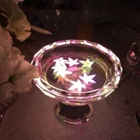 液体に紙を入れると発光する演出