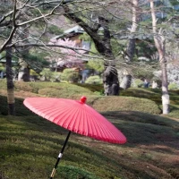 赤い傘が映える庭園です