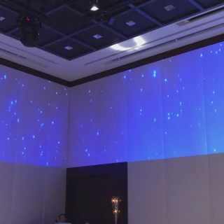 壁一面がプロジェクターなので迫力があります