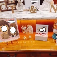 センスよく配置してくださいます　スペースも狭すぎず広すぎず