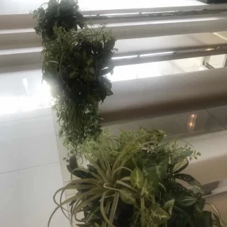 バージンロード脇の装花
