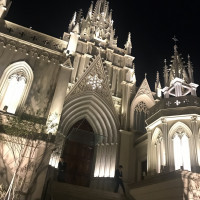 アートグレース大聖堂（夜）