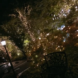 外観・ライトアップ