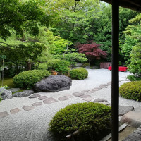 披露宴会場から見える日本庭園