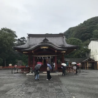 雨の日の様子です