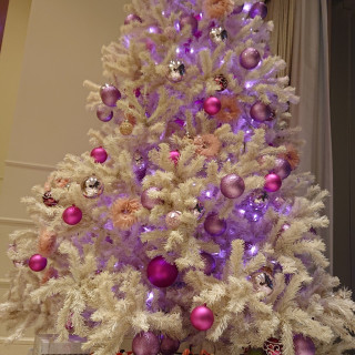 会場のクリスマスツリー