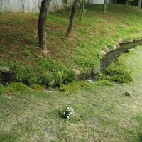 チャペルの横に小川が流れています